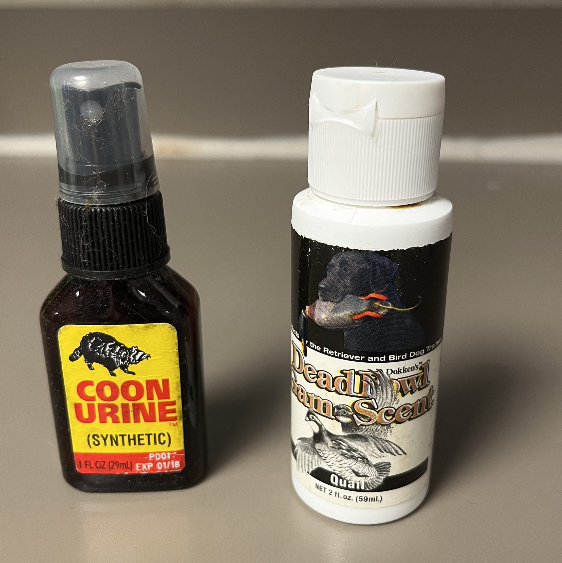 Coon Urine Dead Owl-1-scaled Coon Urine Dead Owl-1-scaled