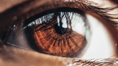 Brown eye
