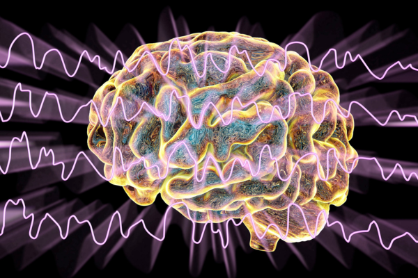 A brain and brain waves connecting with another brain A brain and brain waves connecting with another brain