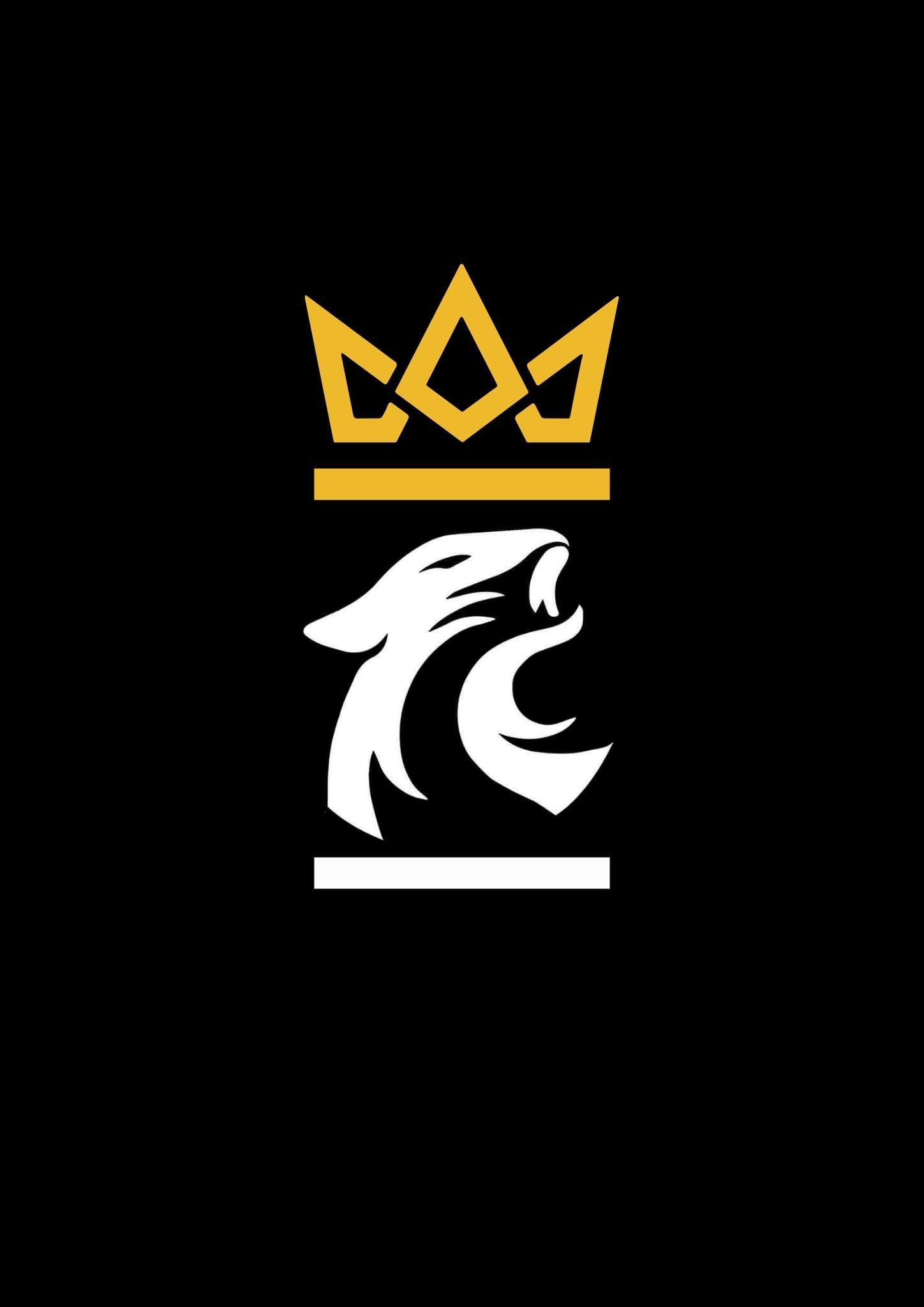 Marcos Nardini business logo