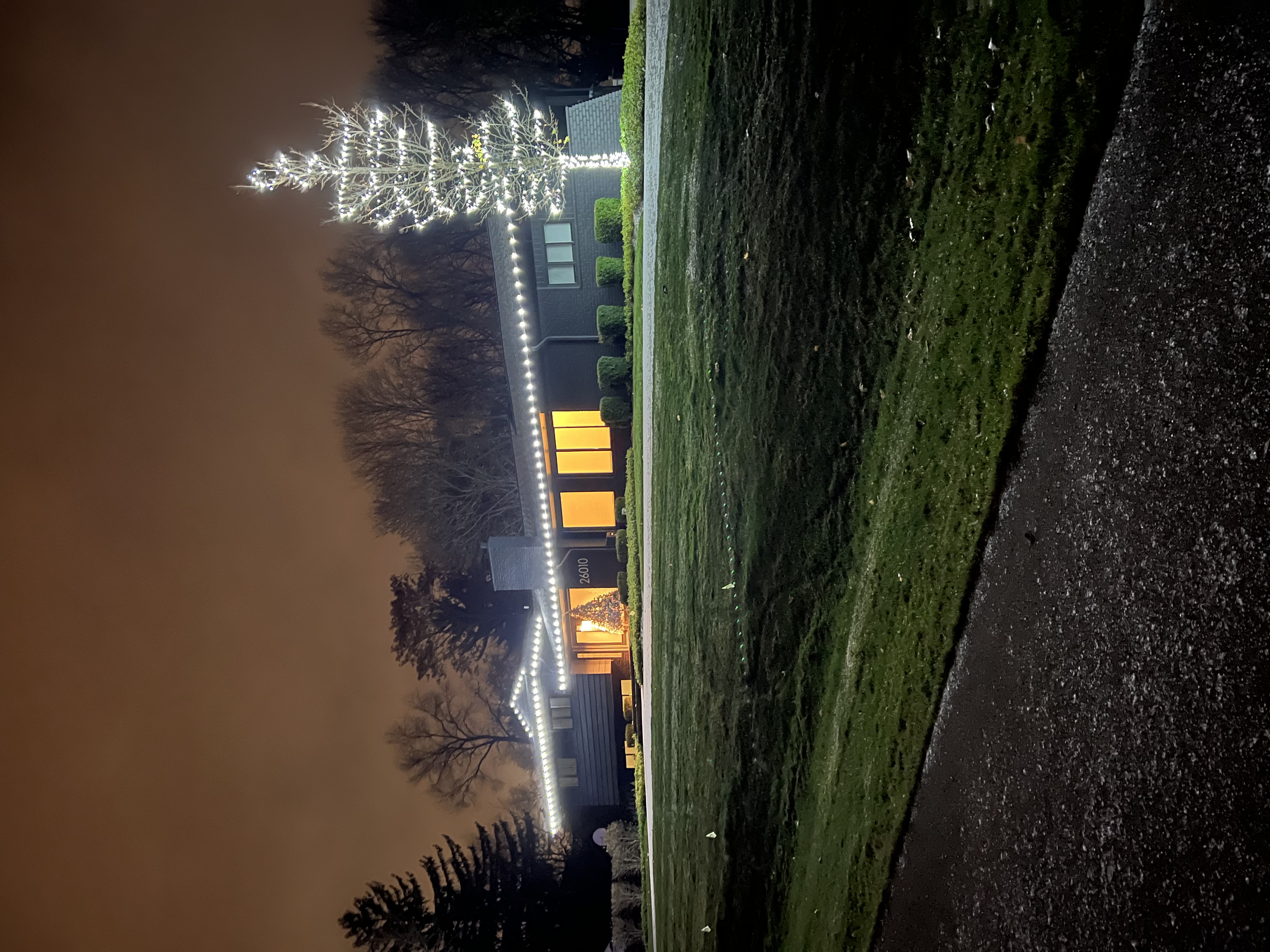 Christmas lights
