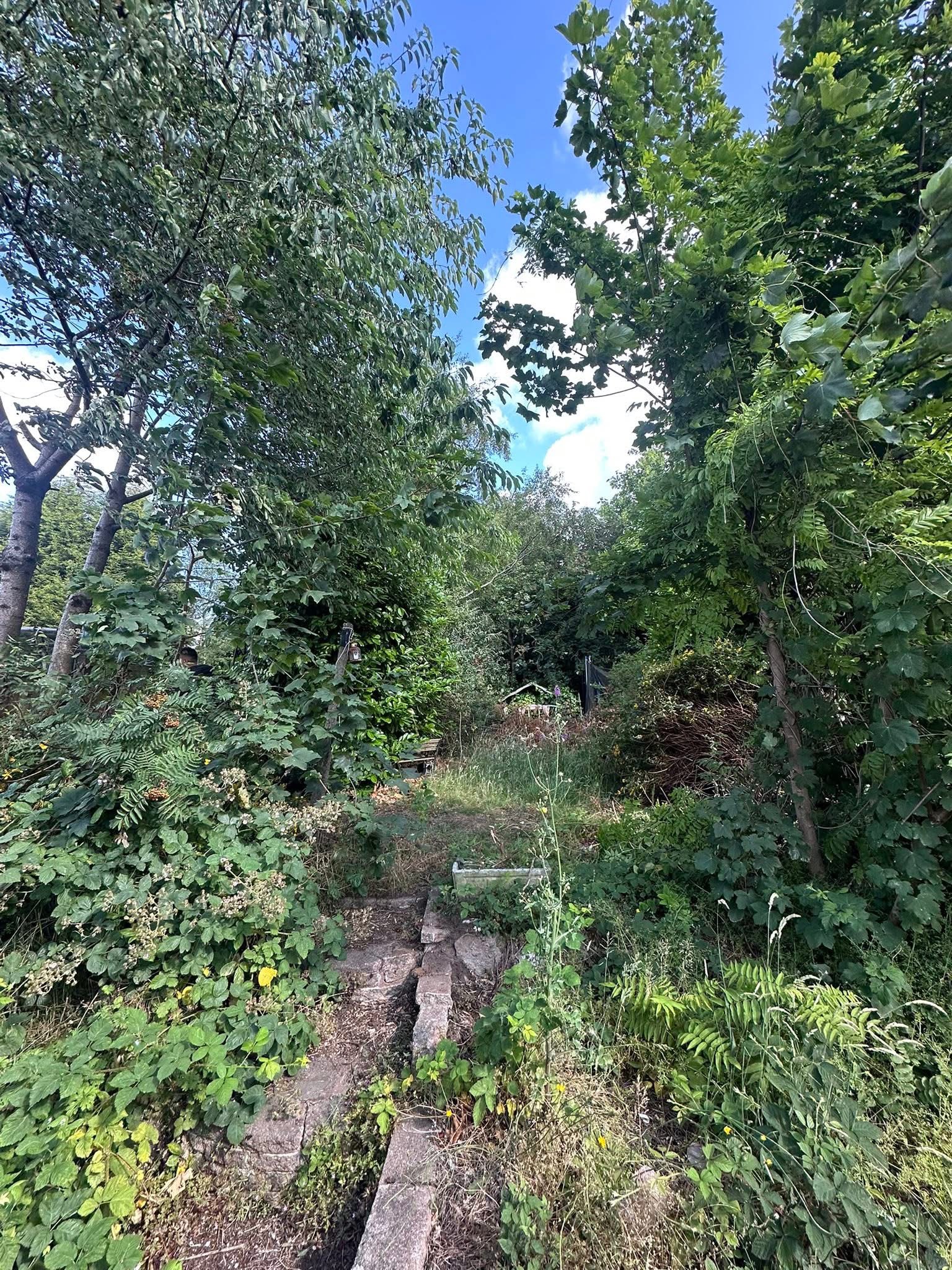 Tree pruning and garden clearance in the Walsall area