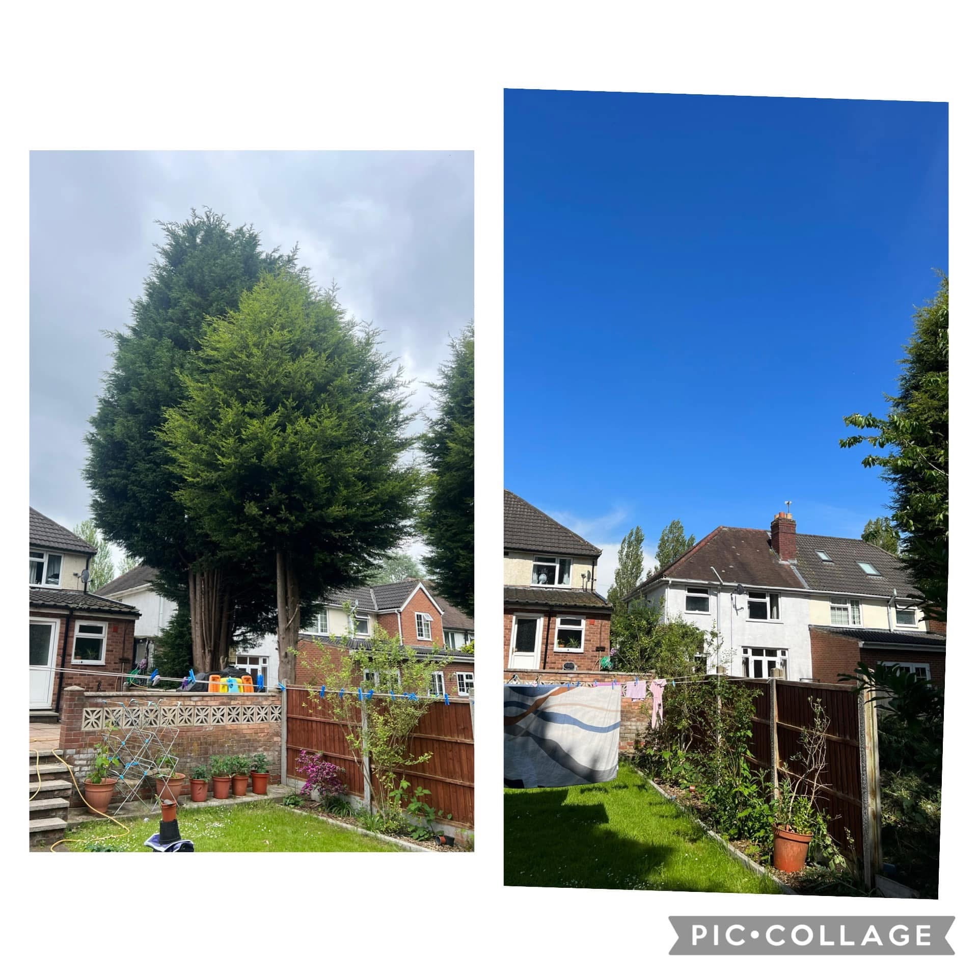 Tree care project completed near Walsall
