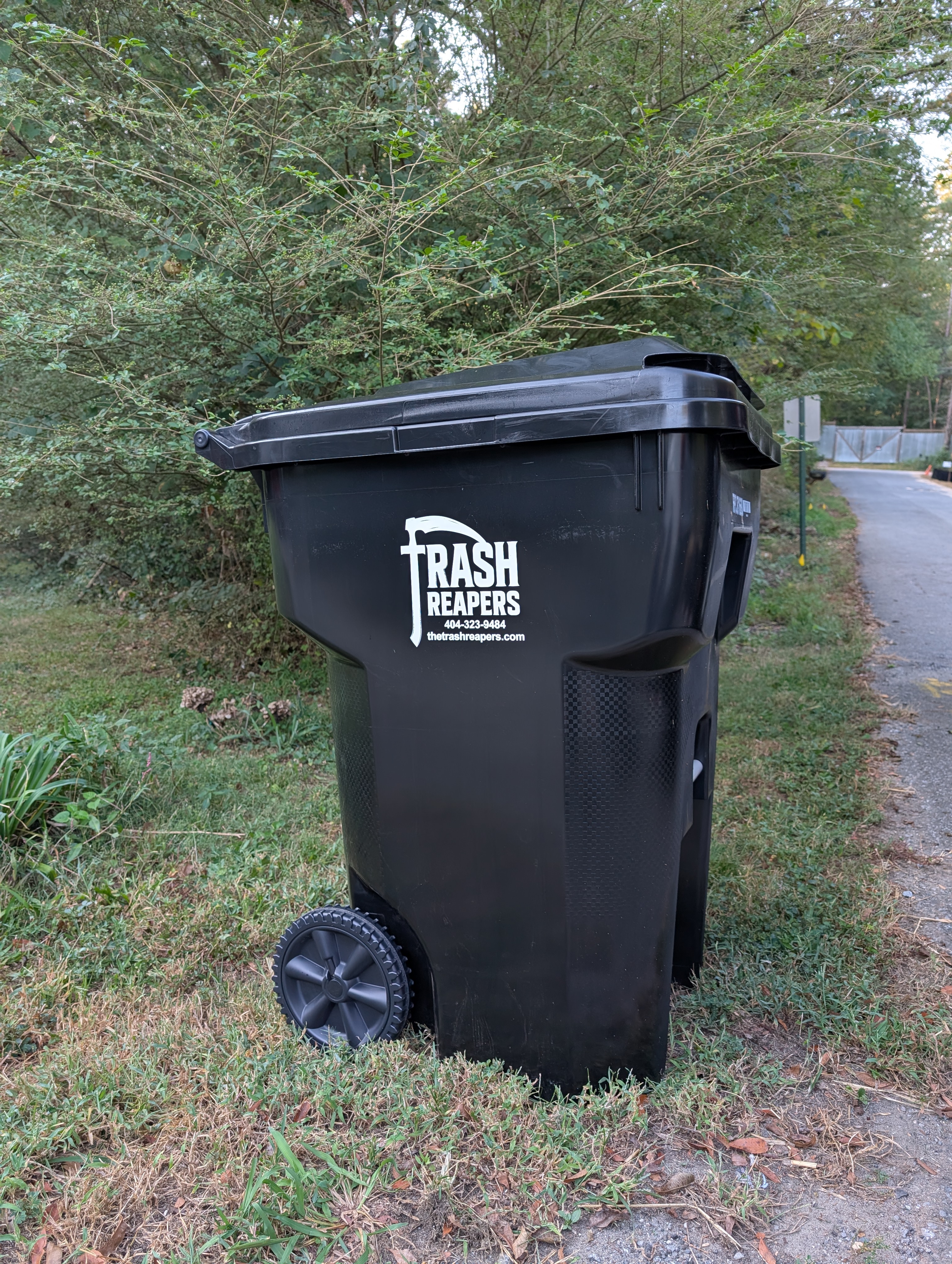 Is There a Local Trash Company That Actually Shows Up? (Yes—Here’s What ...