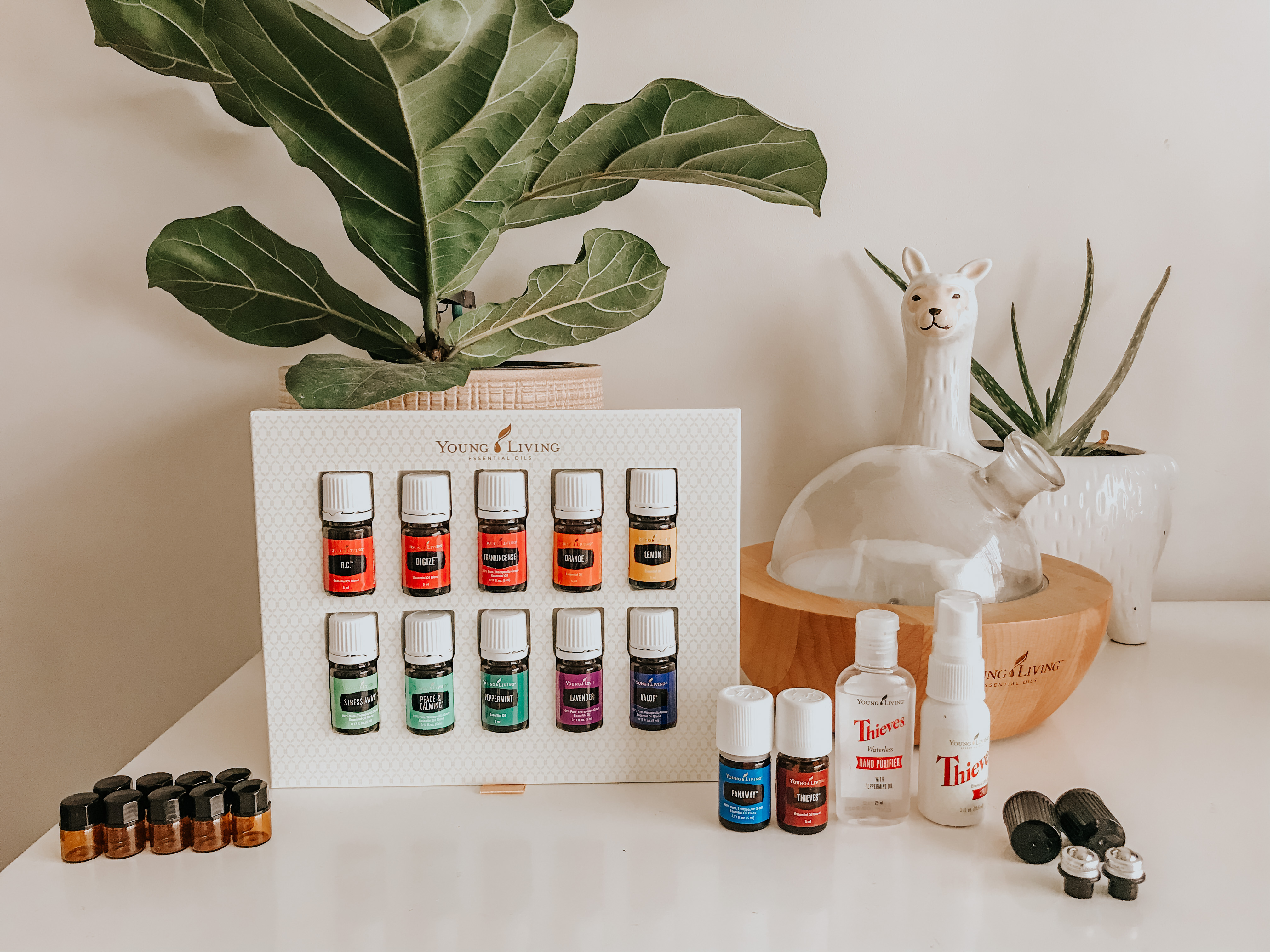 solutions from dirty dozen solutions from dirty dozen