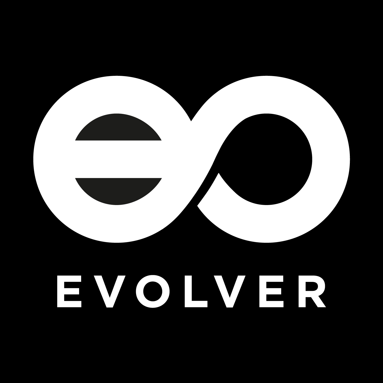 -Evolver Fitness