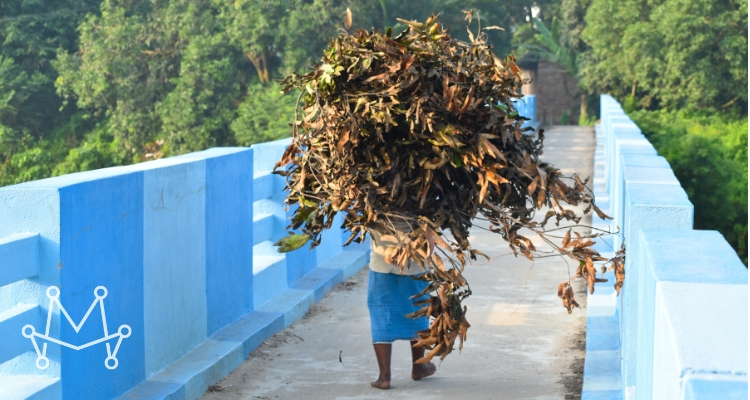 The Beautiful Burden The Beautiful Burden