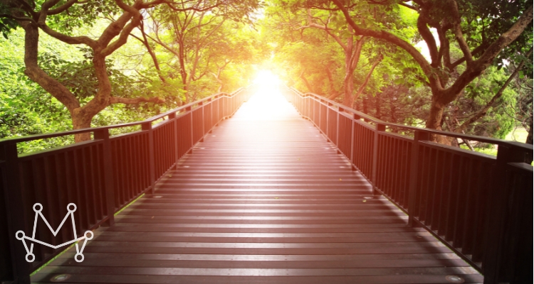 Purpose Illuminates the Path Forward Purpose Illuminates the Path Forward