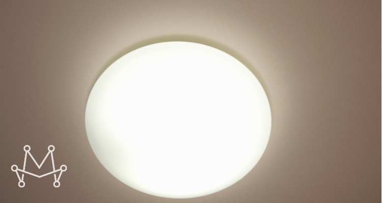 The MorrisTheConnector Community: A Circle of Light