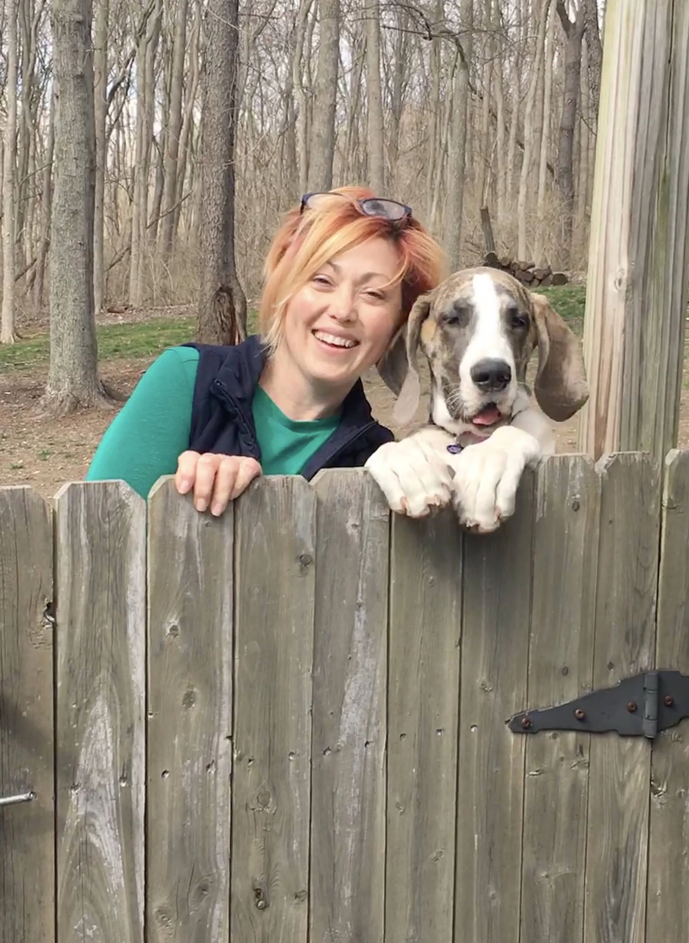 Got Doggie Problems? Hire the Right Trainer