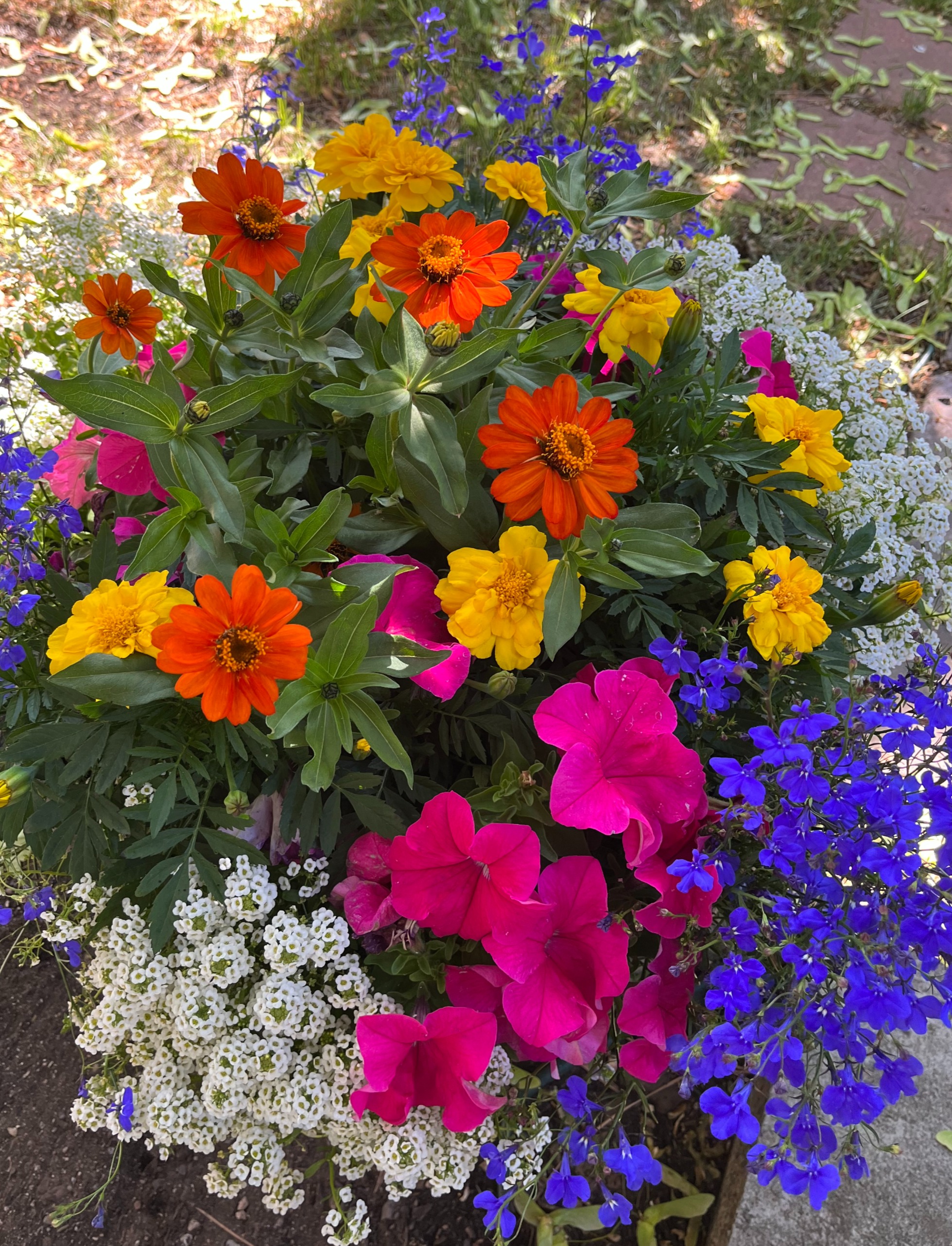 flowers bear creek flowers bear creek
