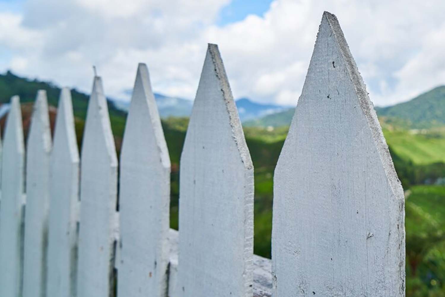 Top 10 Affodable Fence Styles to Fit Any Home and Budget Top 10 Affodable Fence Styles to Fit Any Home and Budget