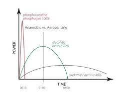 Vancouver Personal Training Vancouver Personal Training