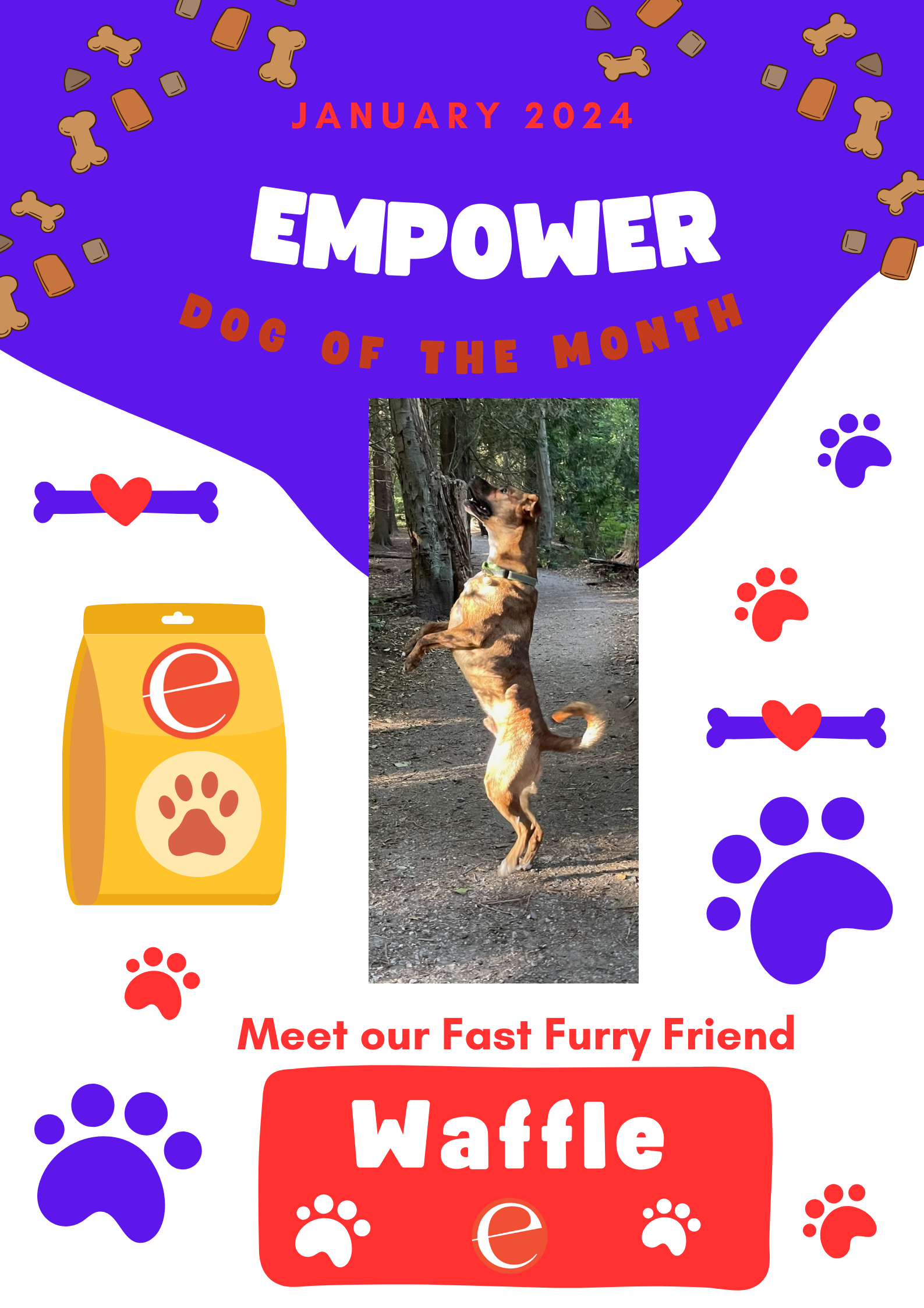 empower pets