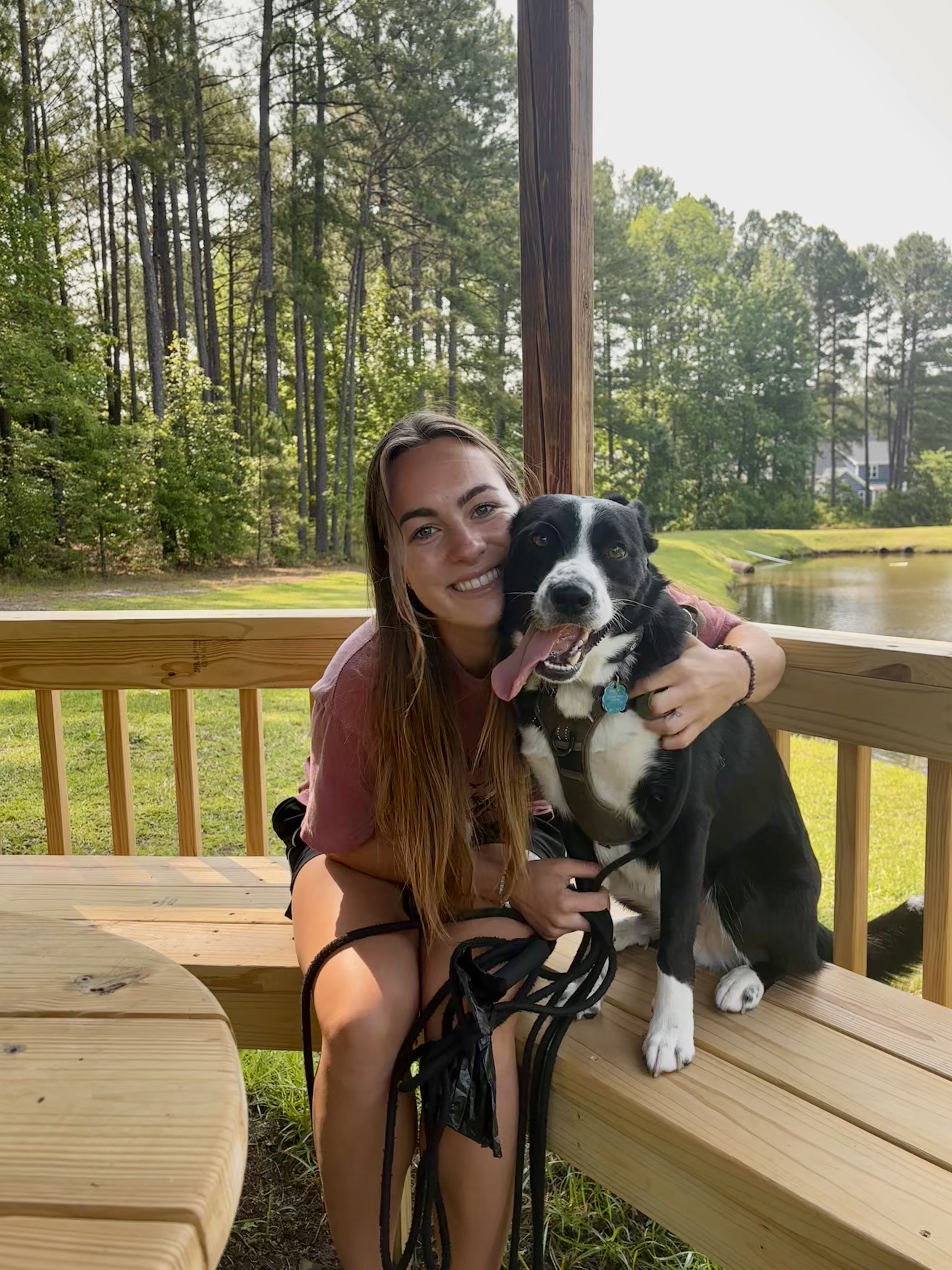 Pet & Animal Services background