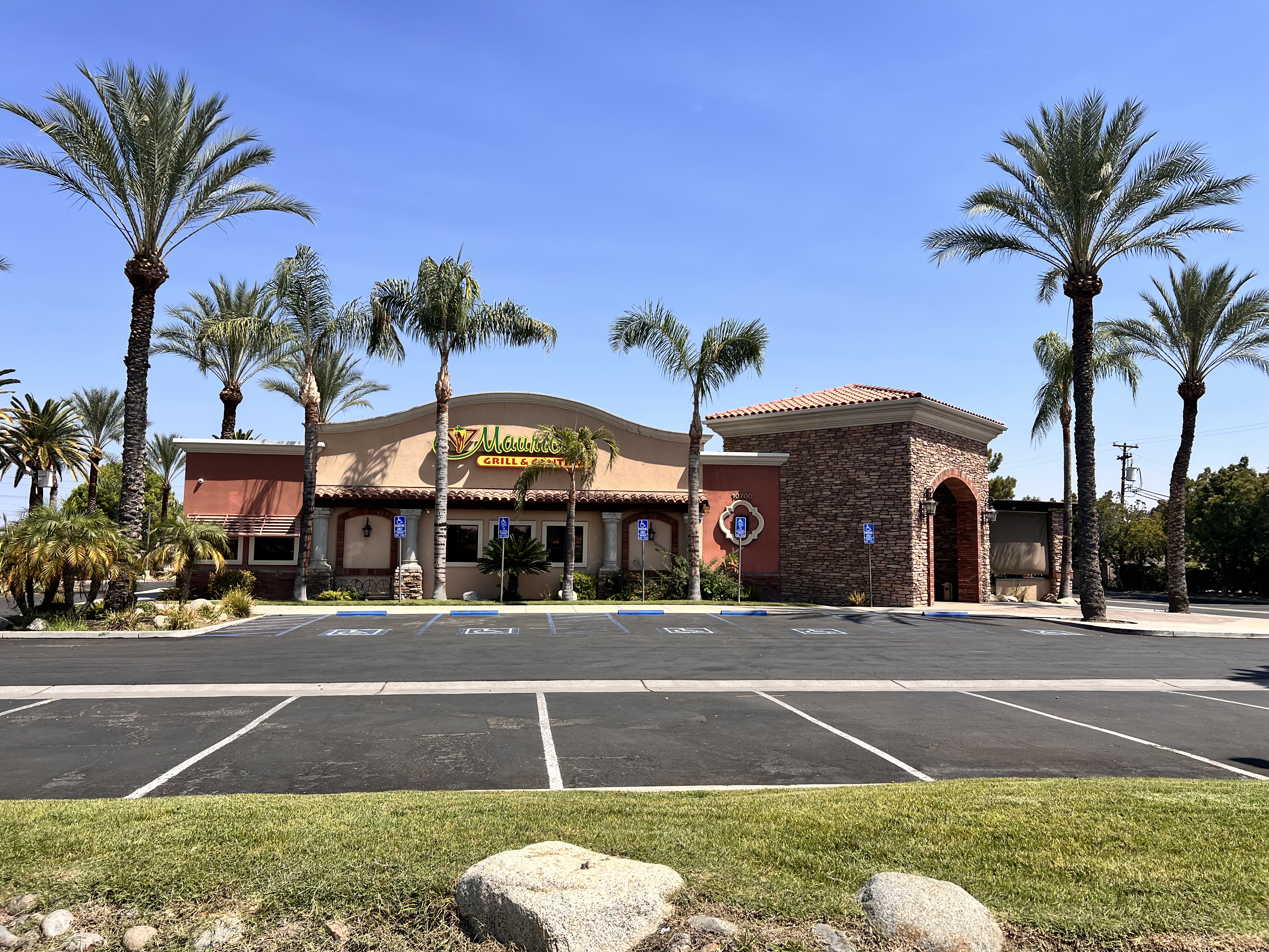 image of commercial lot restaurant with several palm trees that were trimmed