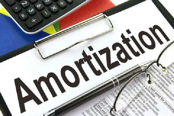 Home Loans and Negative Amortization Home Loans and Negative Amortization