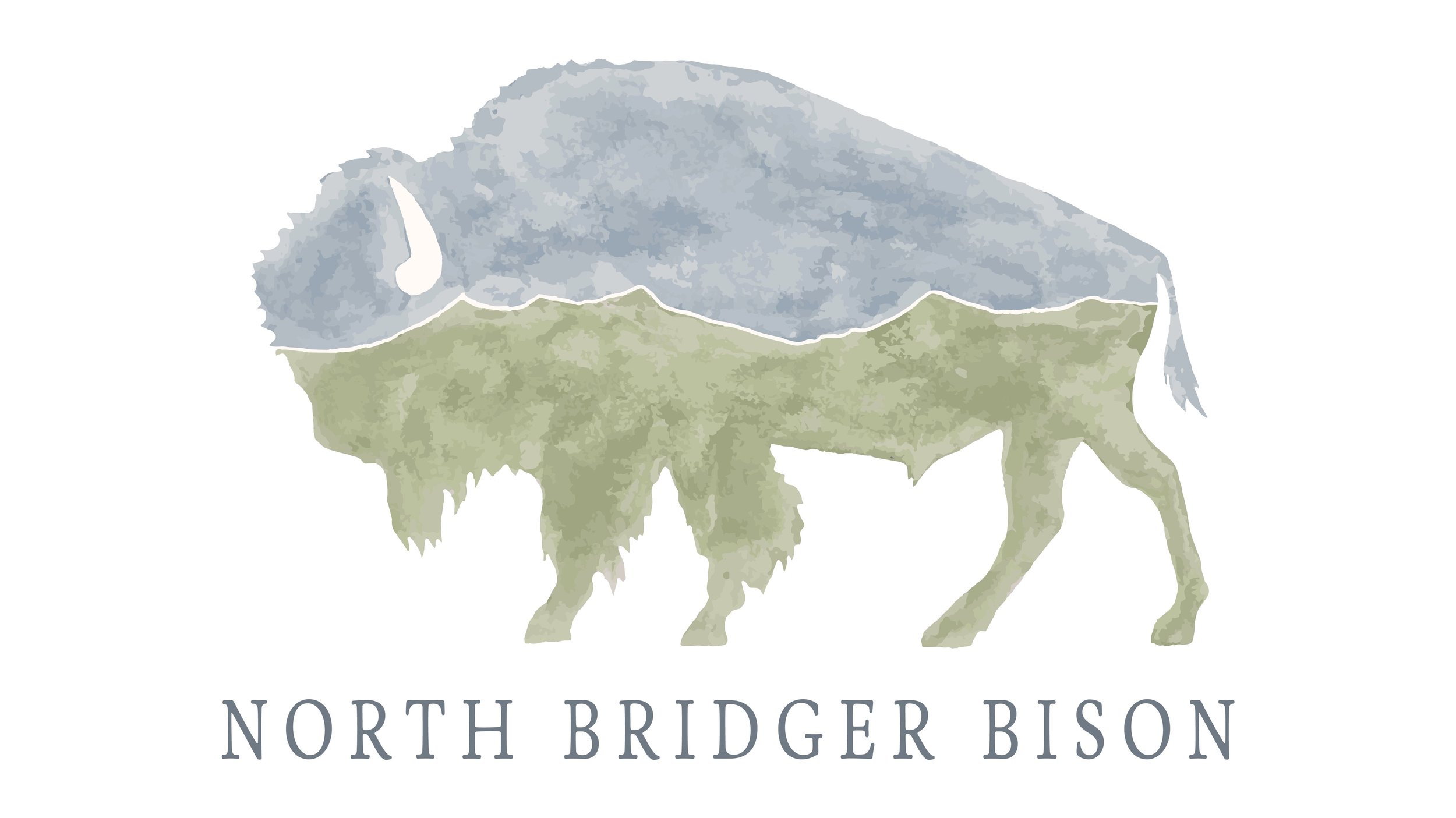 Matt Skoglund business logo