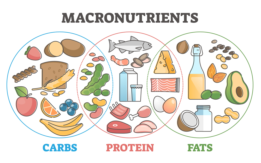 Learn About Macronutrients Learn About Macronutrients