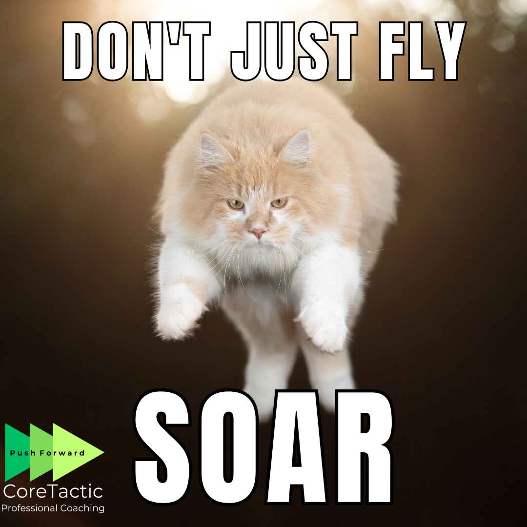 soar with career coaching soar with career coaching