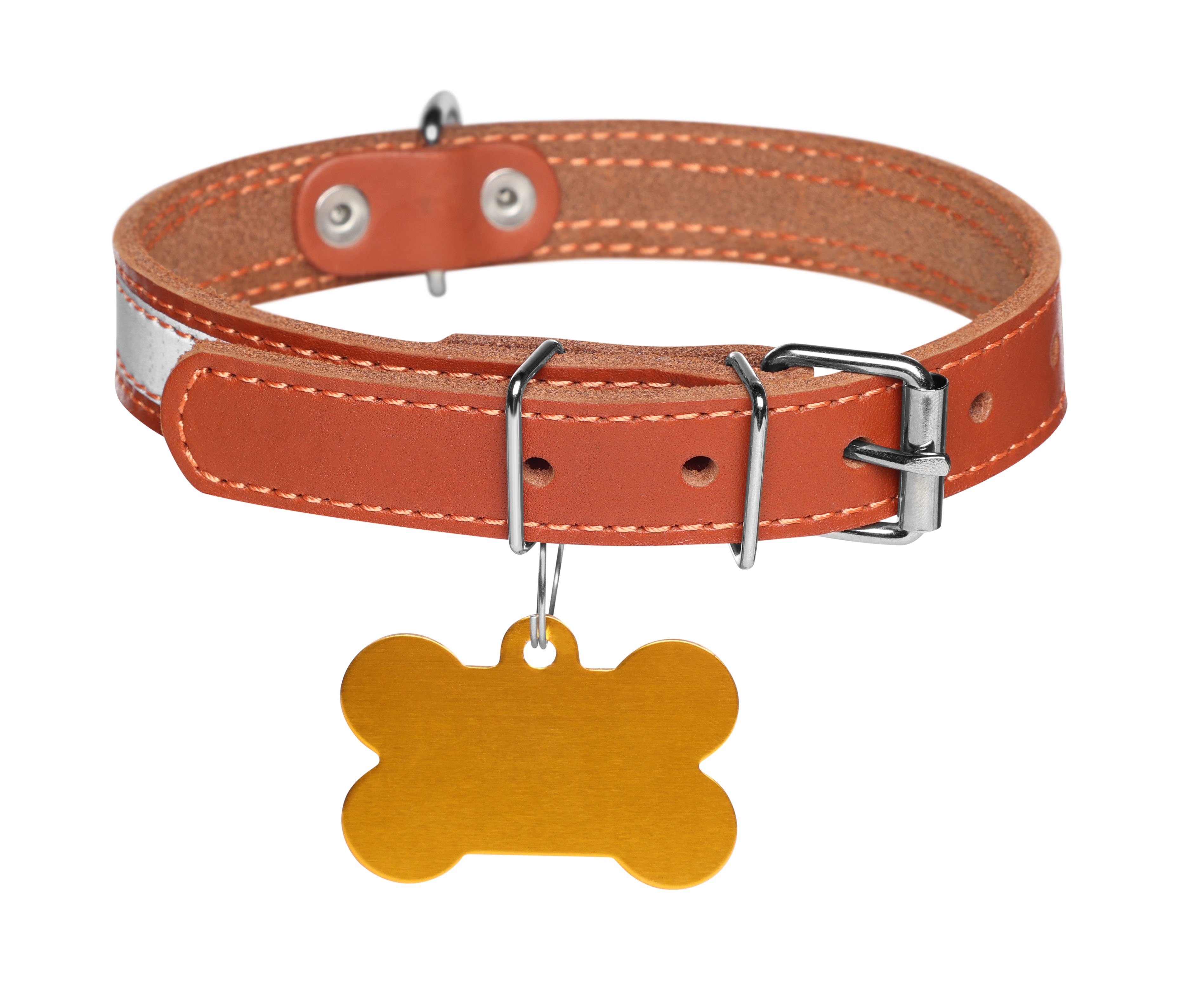 Collar and dog tag