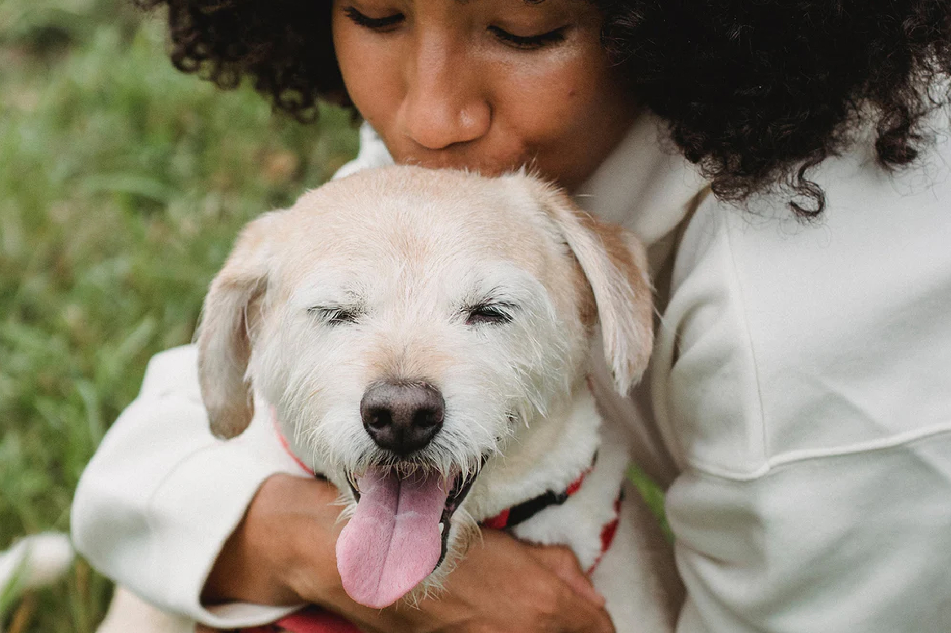 woman hugging her dog while kissing its forehead woman hugging her dog while kissing its forehead