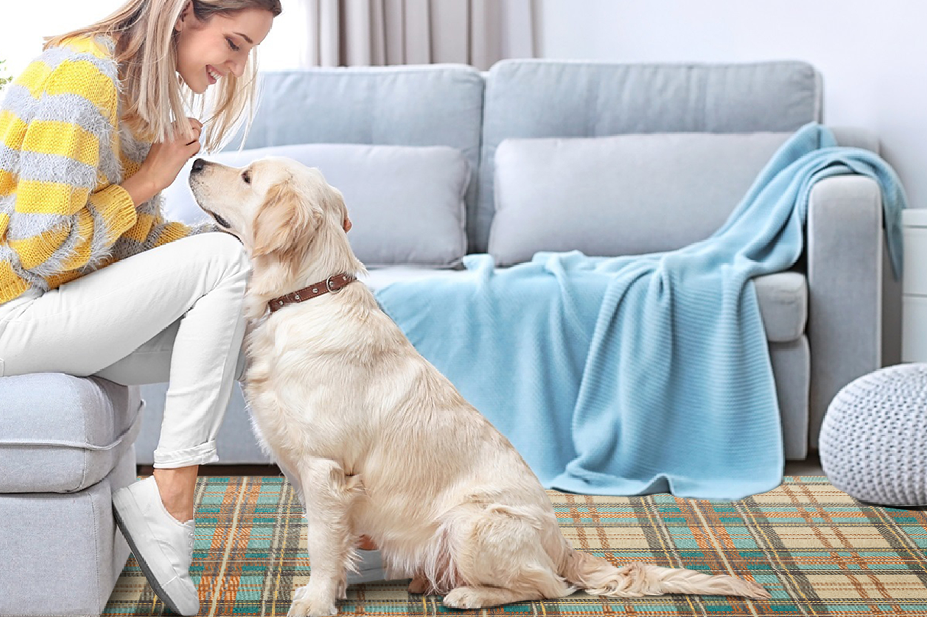 pet owner helping dog cope with noise at home