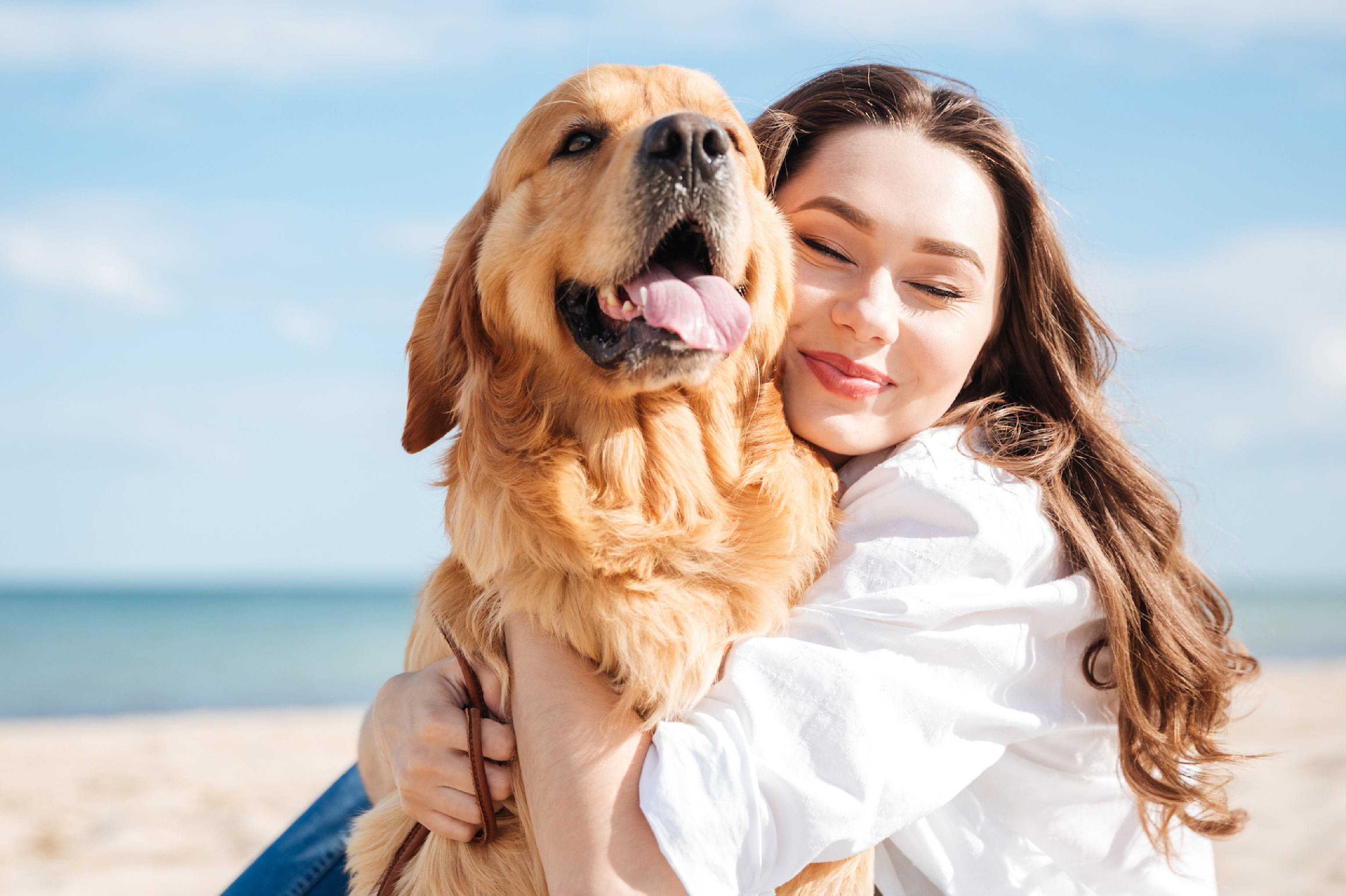 golden retriever getting hugged by its owner