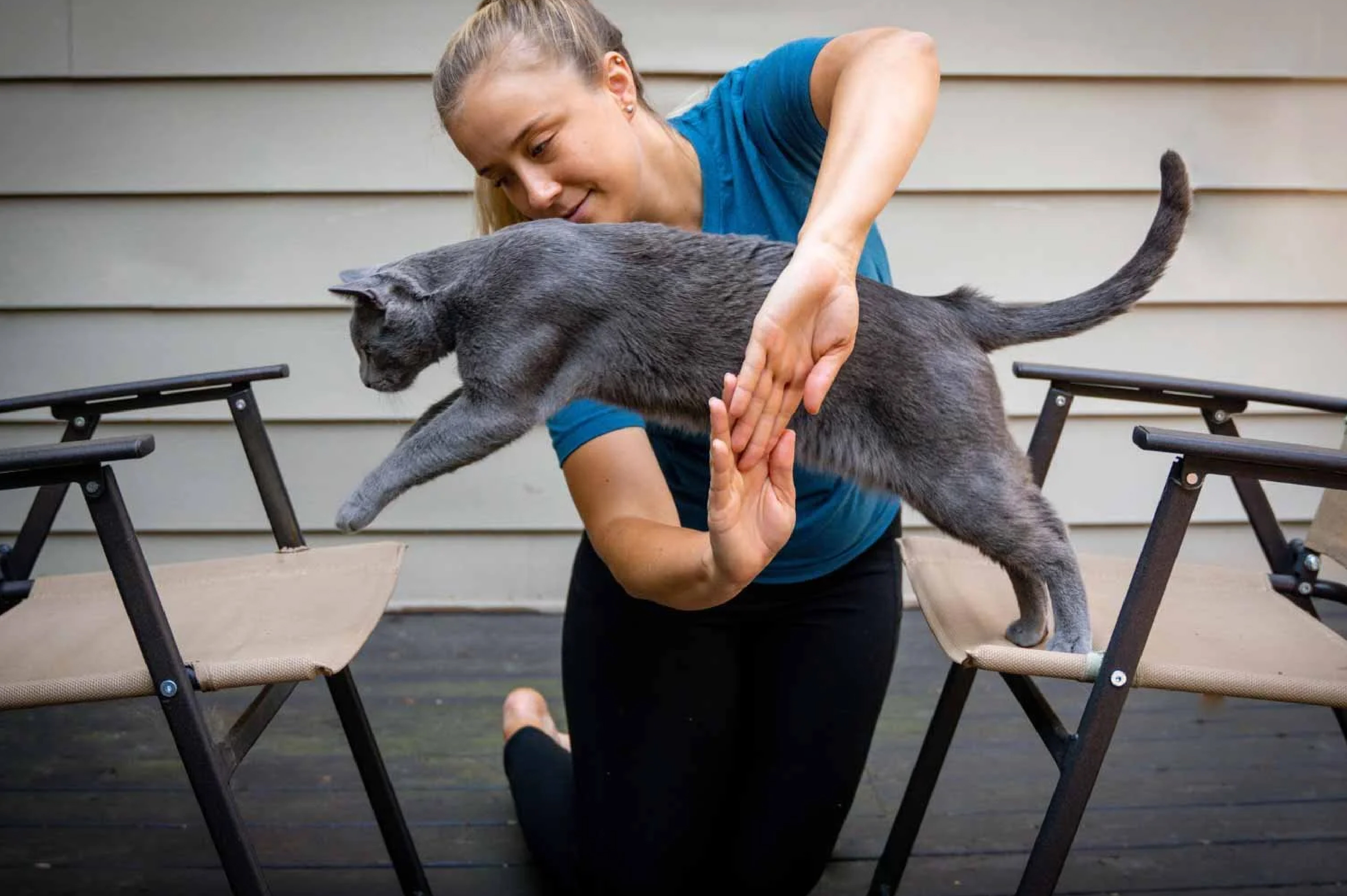 woman training black cat to go through an arm hoop woman training black cat to go through an arm hoop