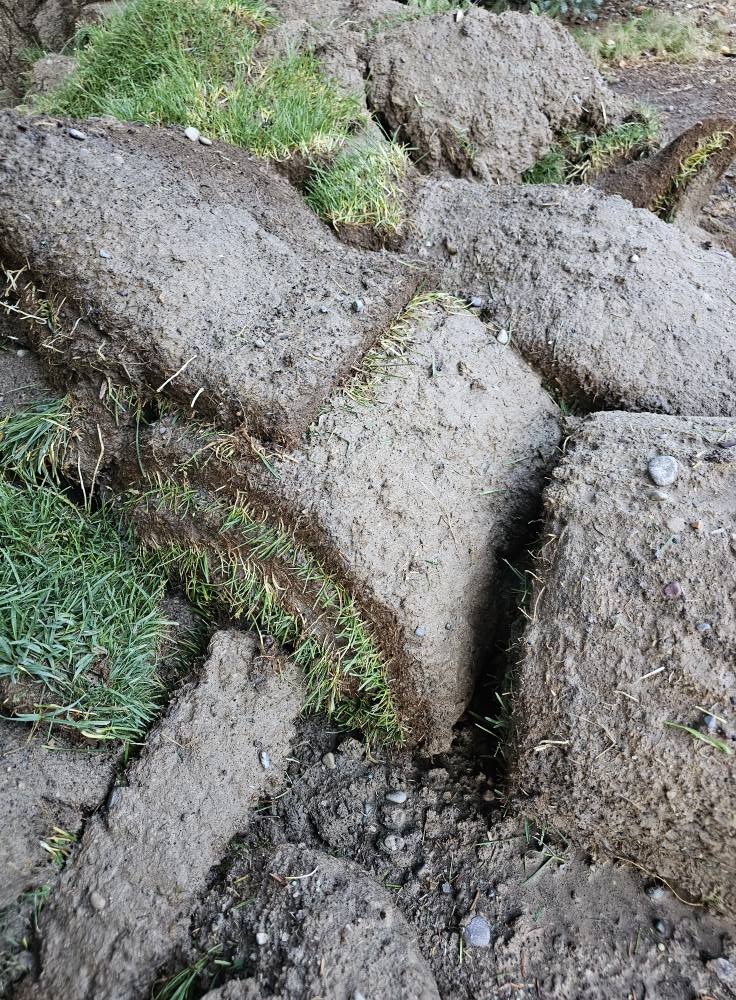 Photo of rolled up Sod Photo of rolled up Sod
