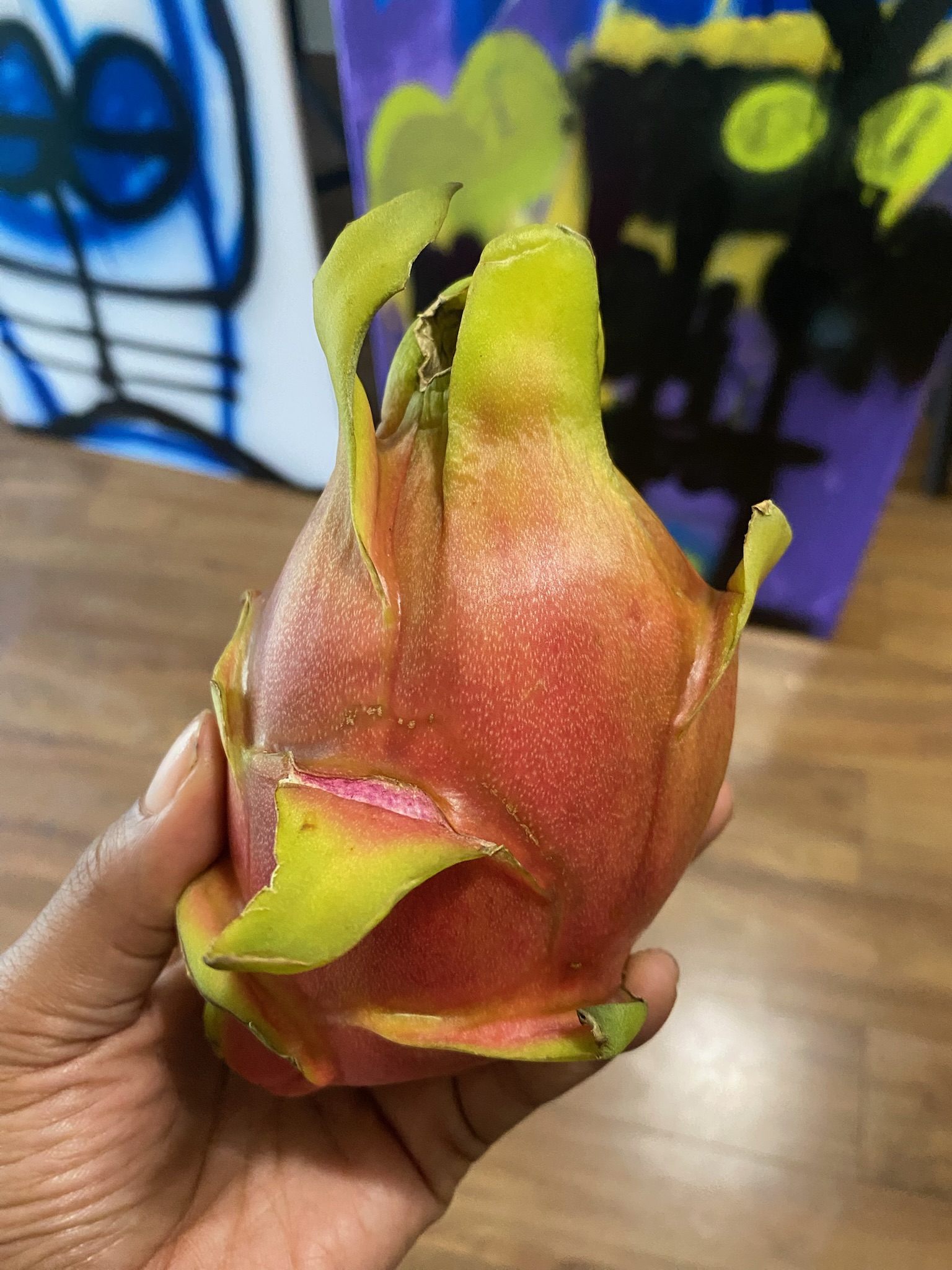 dragon fruit dragon fruit
