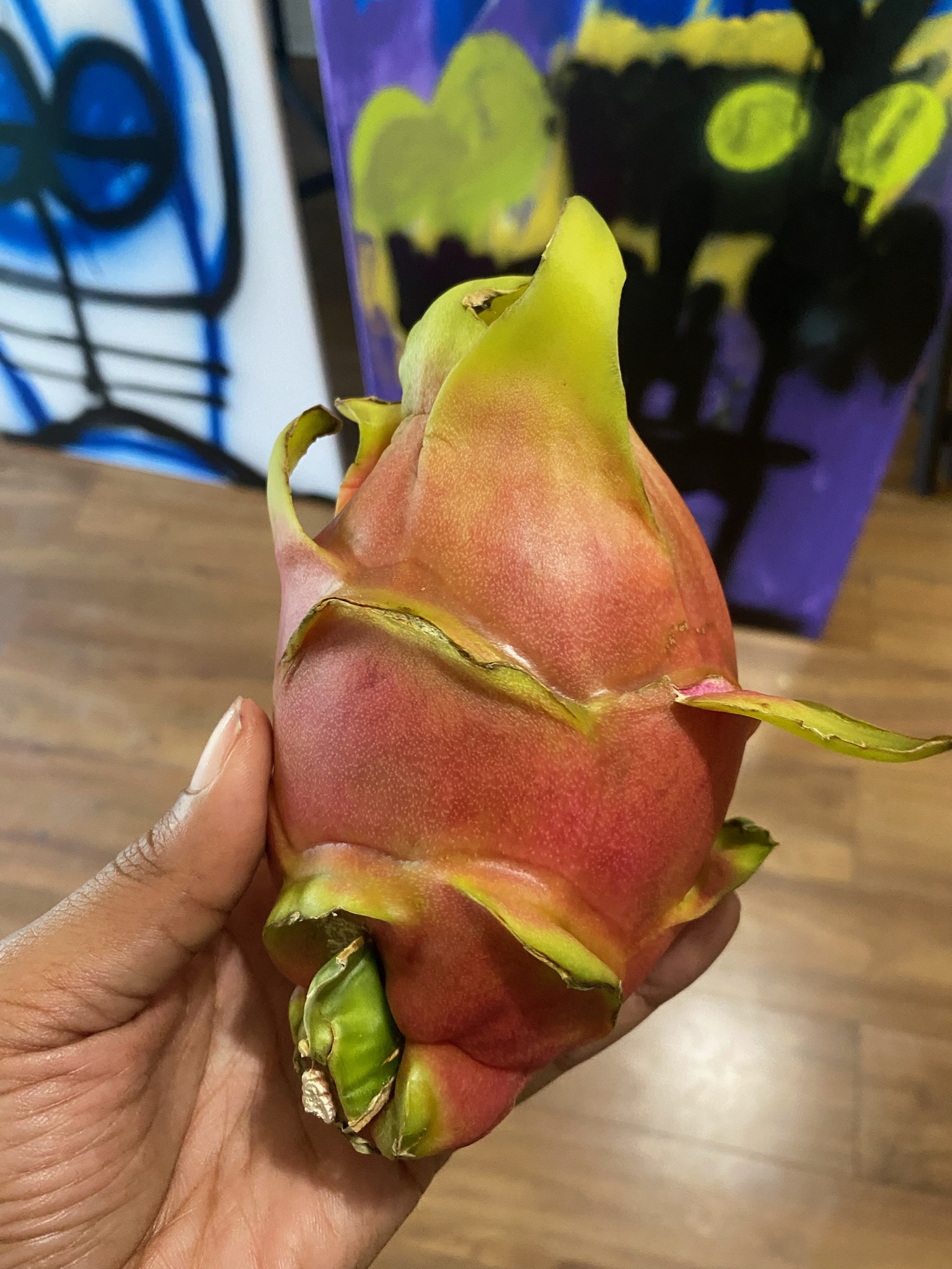 dragon fruit dragon fruit