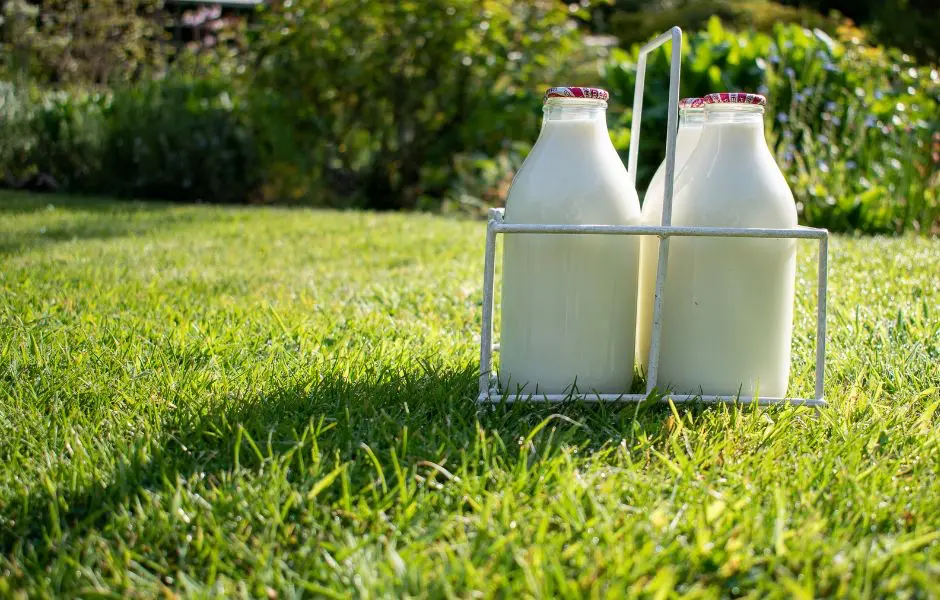 glass bottle milk delivery