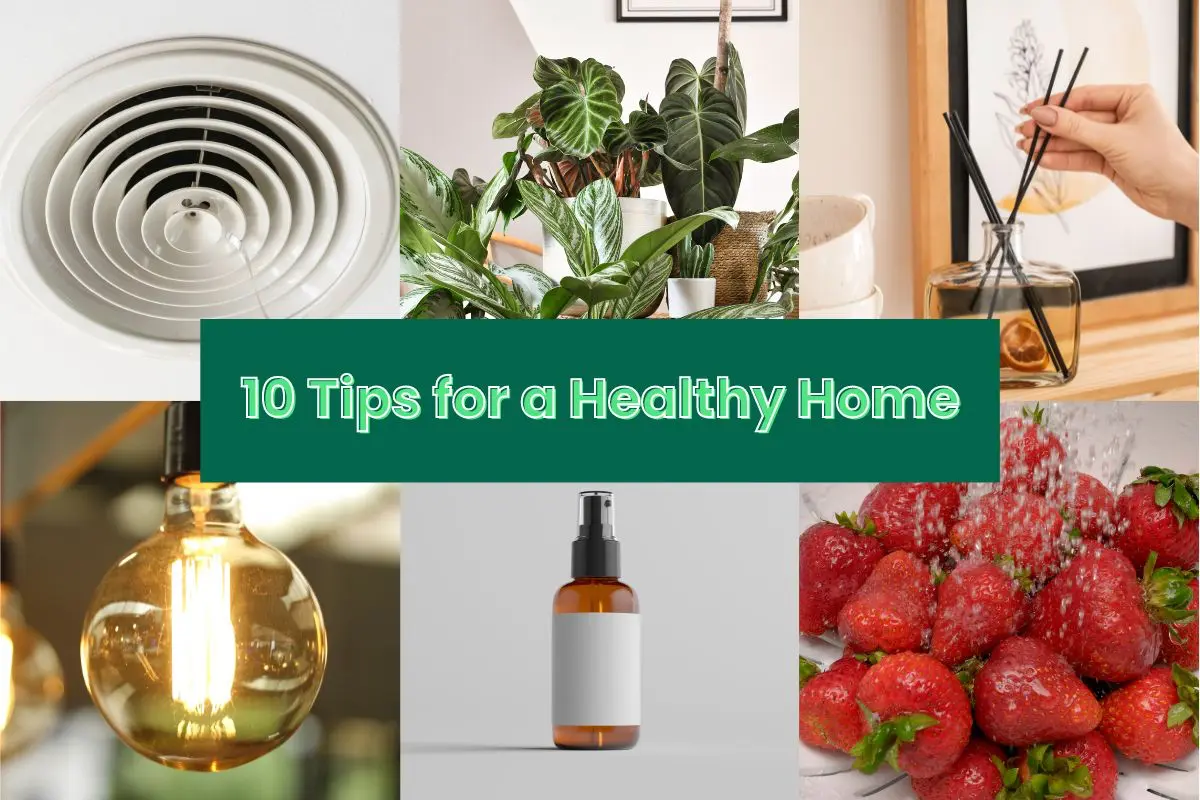 10 Tips for a Healthy Home