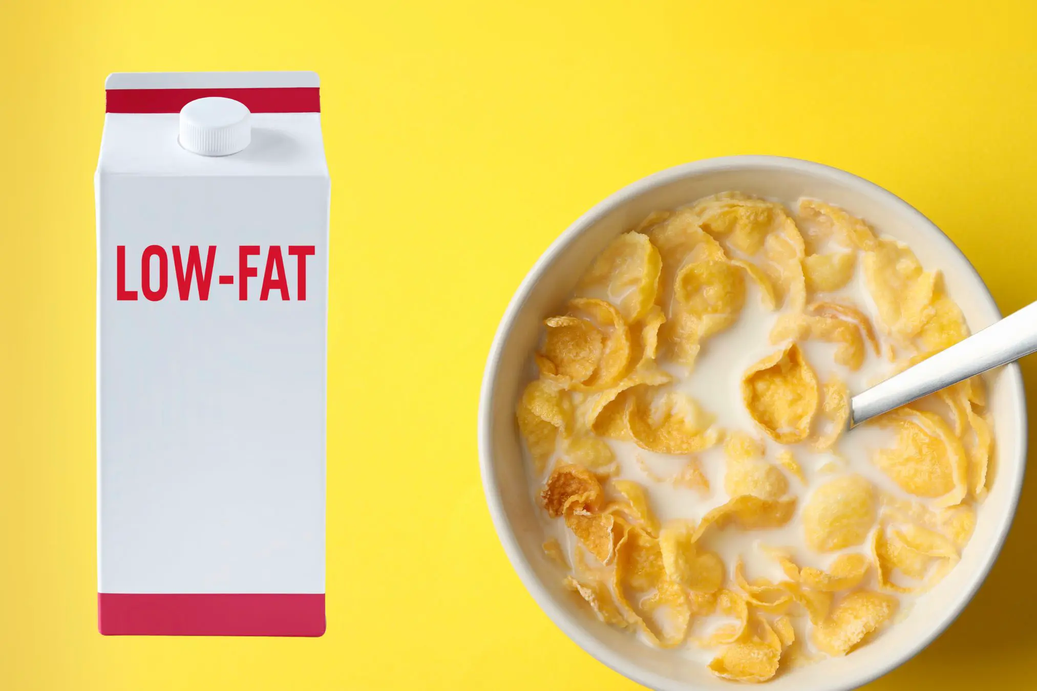 low fat diets low fat diets