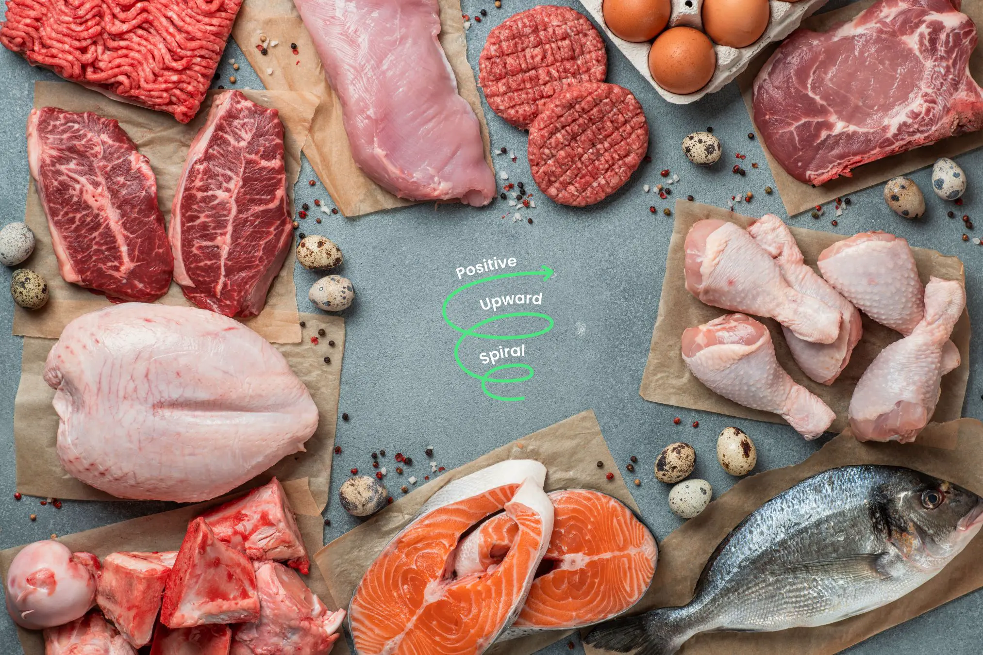 high fat diet meat high fat diet meat