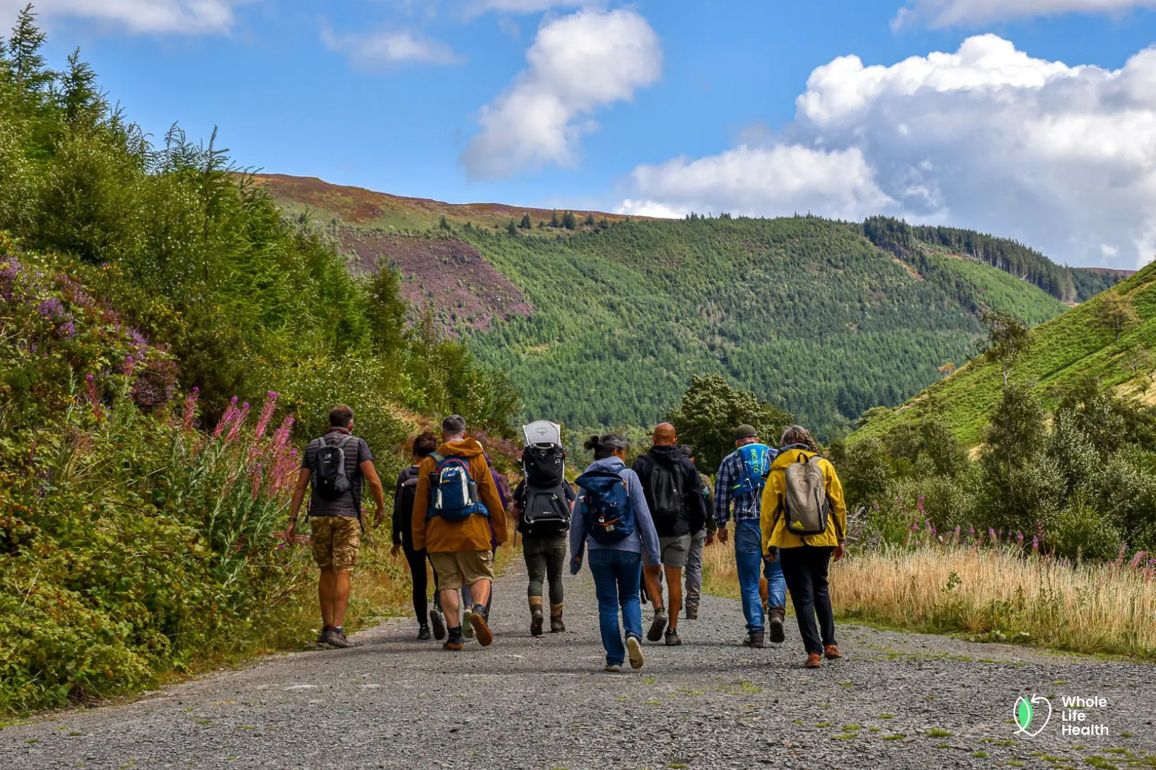 walking community in nature walking community in nature