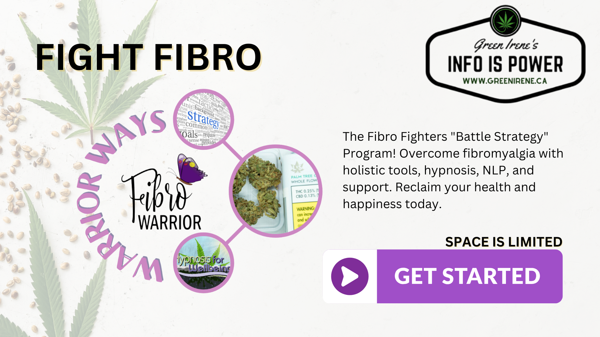 Fight Fibro Green and Clean with guidance from Green Irene to Help you Help Your Fight Fibro Green and Clean with guidance from Green Irene to Help you Help Your