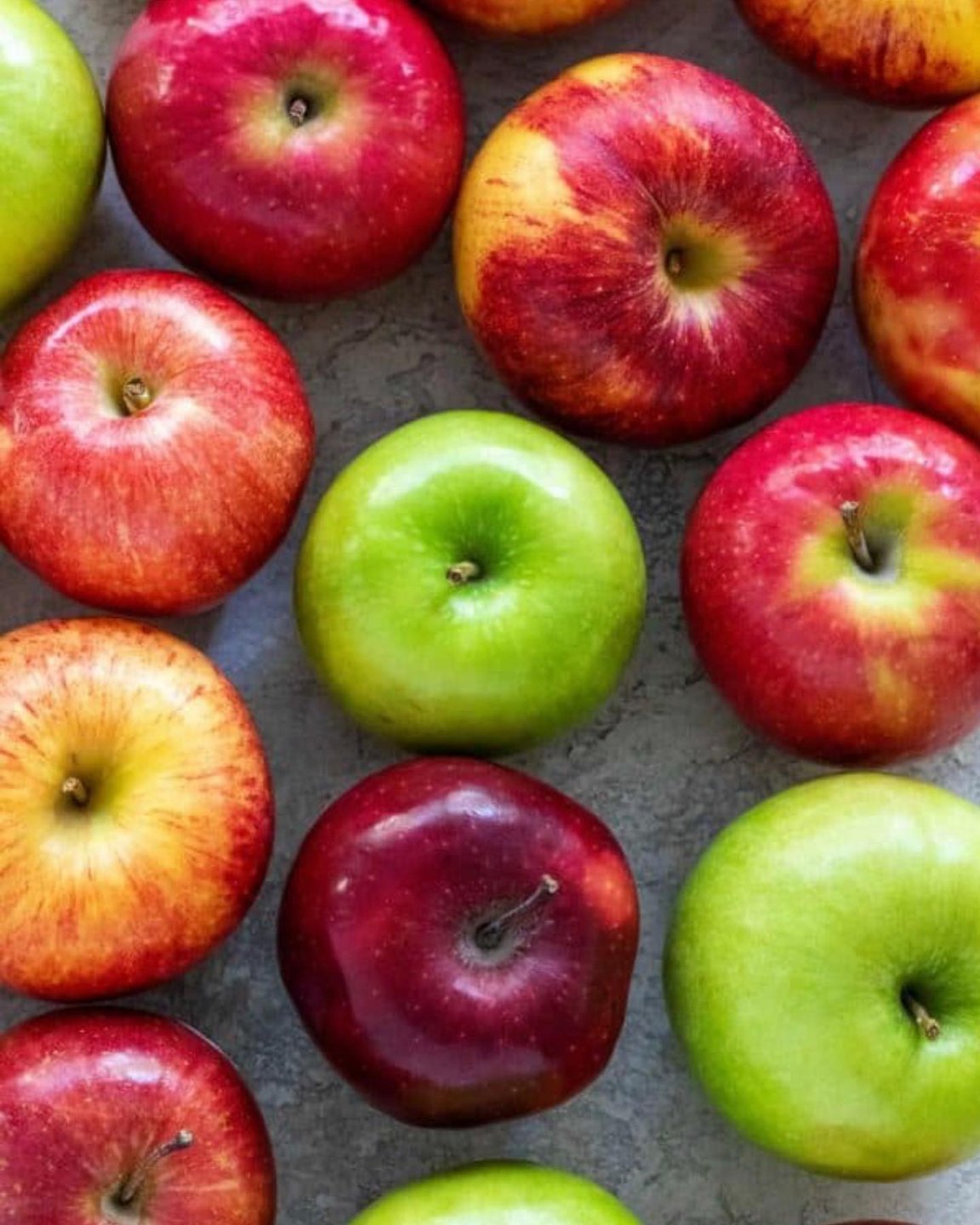 What to do in Greenville in Winter