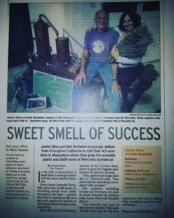 Newspaper article about Janice's lavender farm