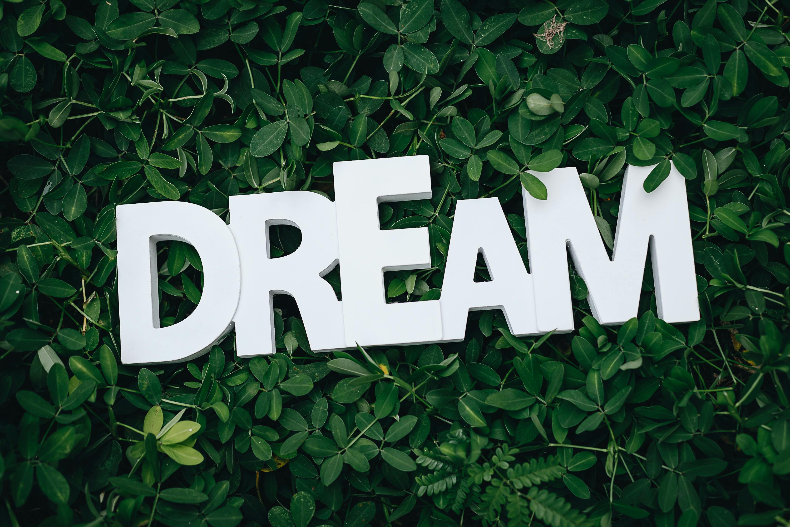 Dream Text on Green Leaves Dream Text on Green Leaves