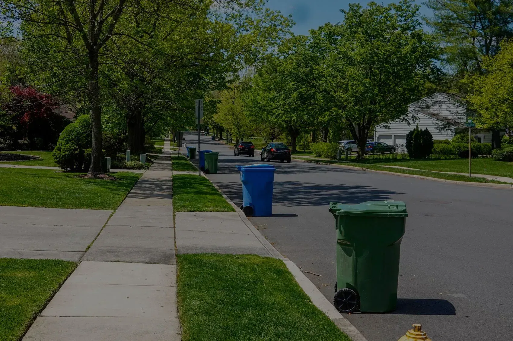 Two green trash bins placed on a grassy park pathway under trees.