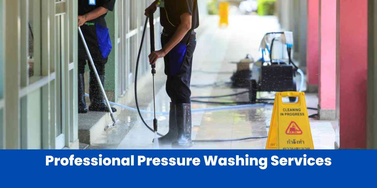 Professional Pressure Washing Services