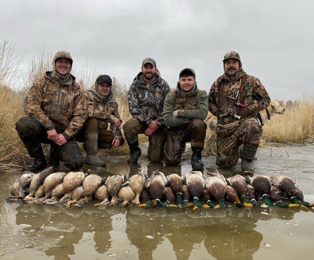 Waterfowl Pictures