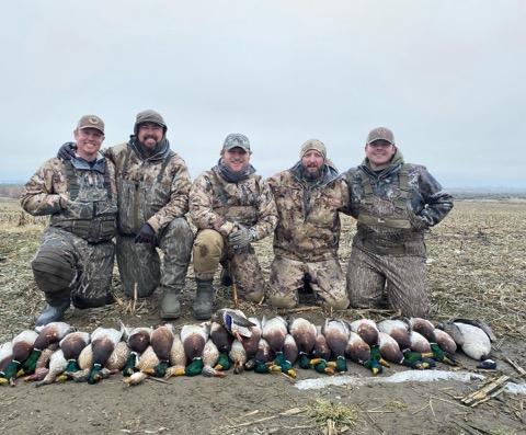 Waterfowl Pictures