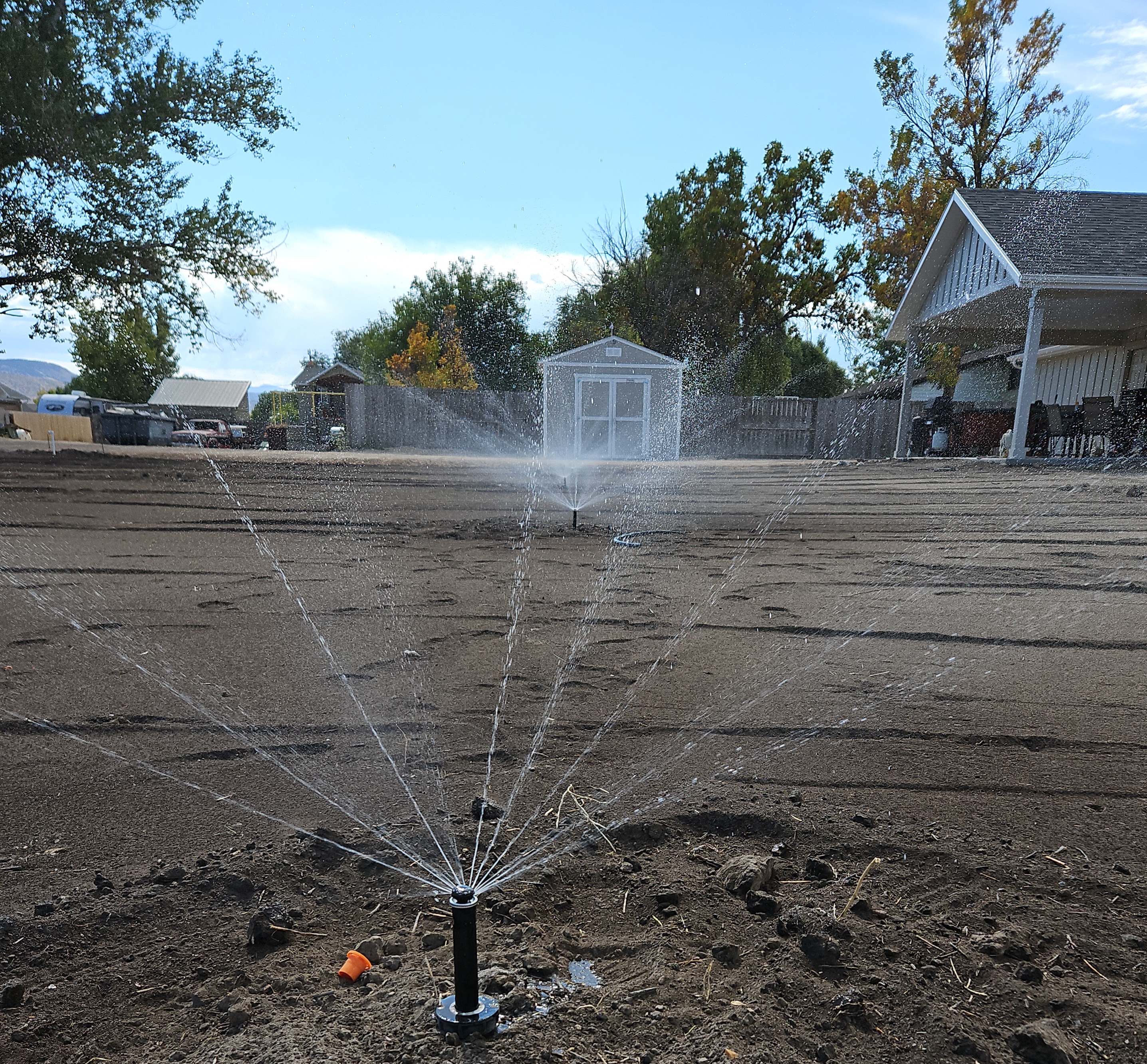 Close-up of new grass being planted with soil and roots exposed, representing sod installation and lawn care services.