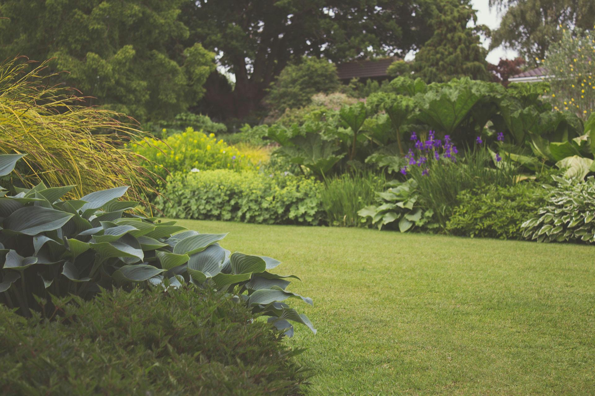 Well-groomed front lawn with lush green grass, colorful flower beds, and neatly trimmed shrubs enhancing curb appeal.