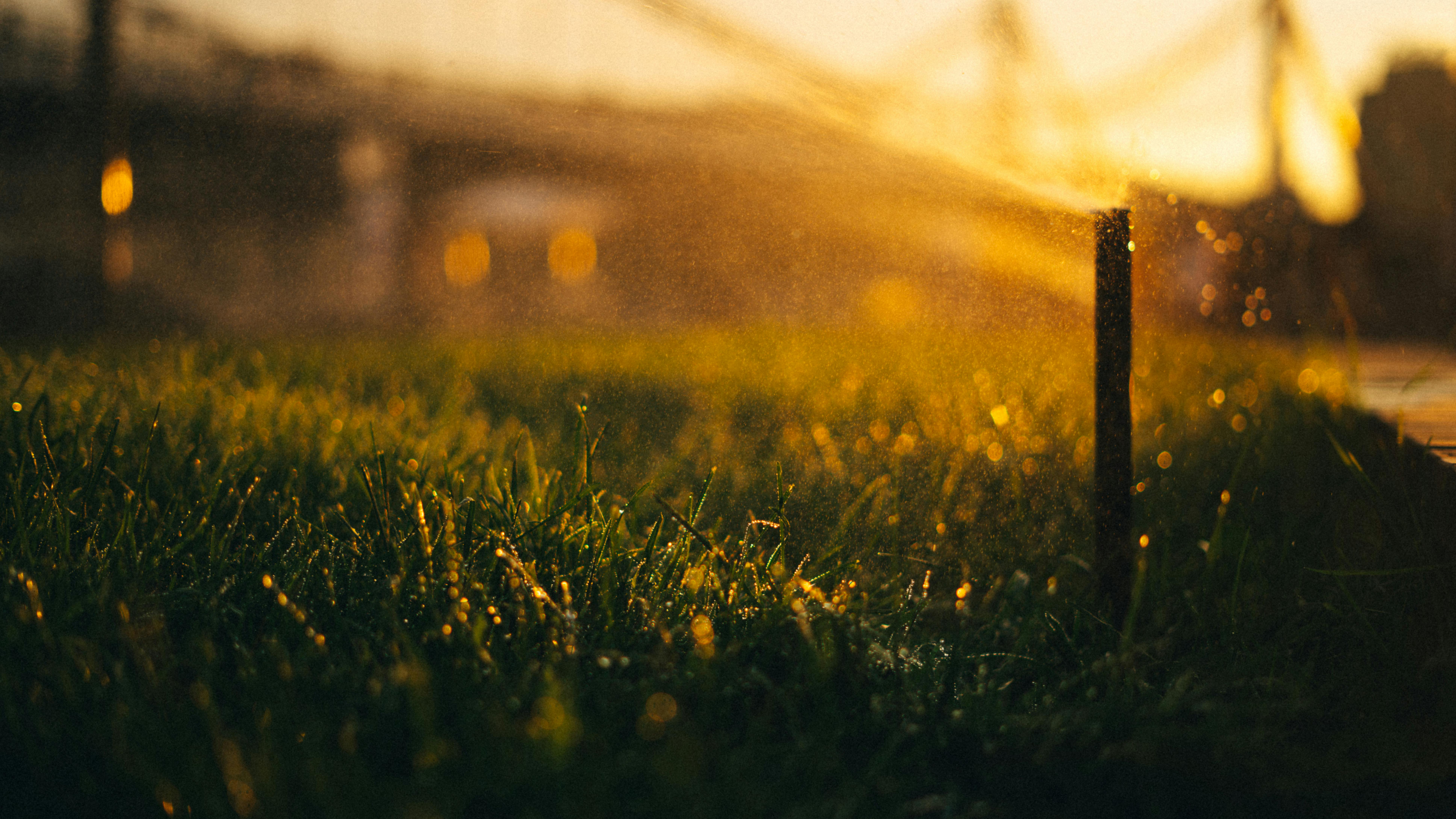 A close-up shot of a sprinkler head spraying a fine mist of water onto a lush, green lawn. The water droplets are visible in the sunlight.