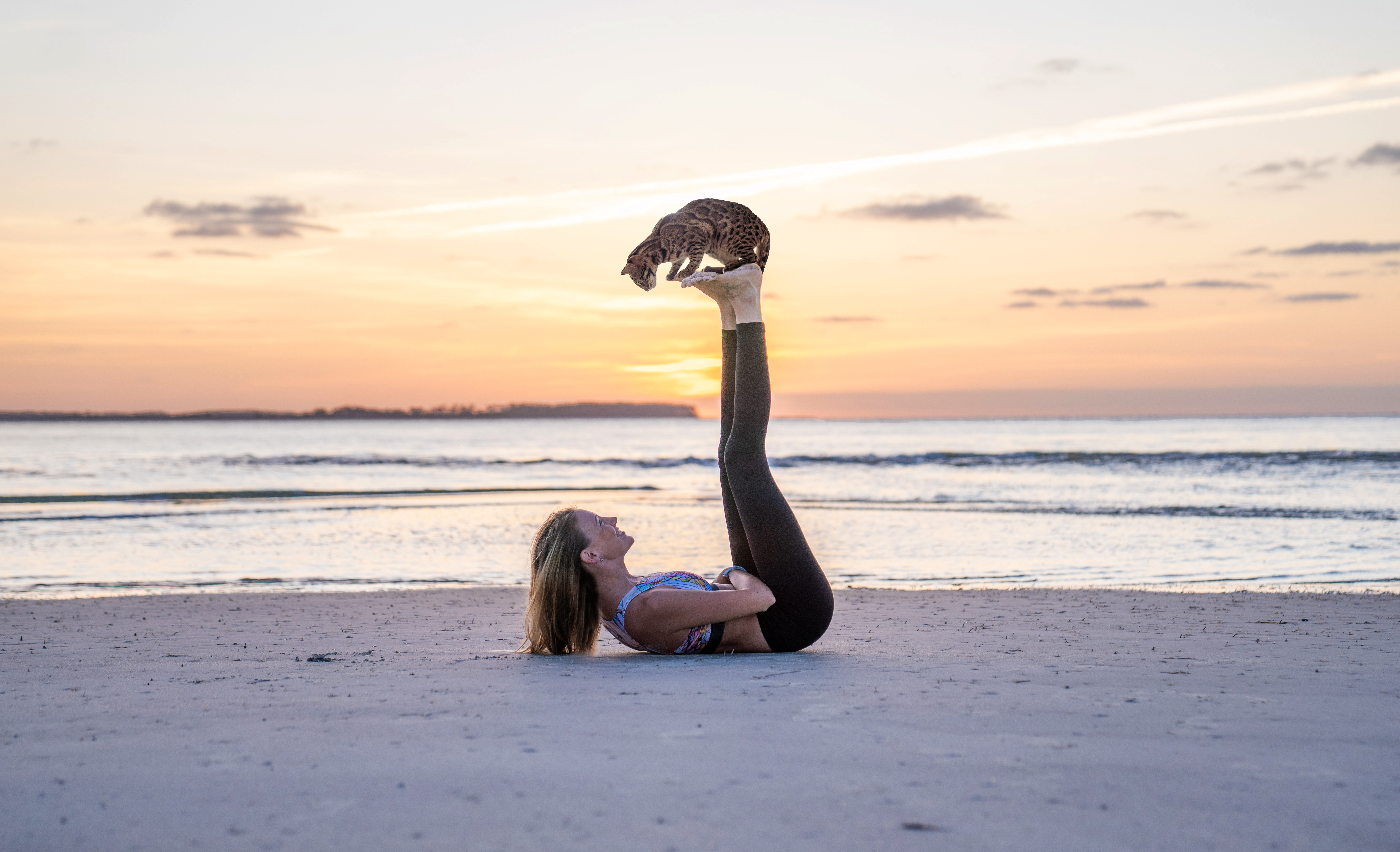 Dog Dance Basics Dog Dance Basics