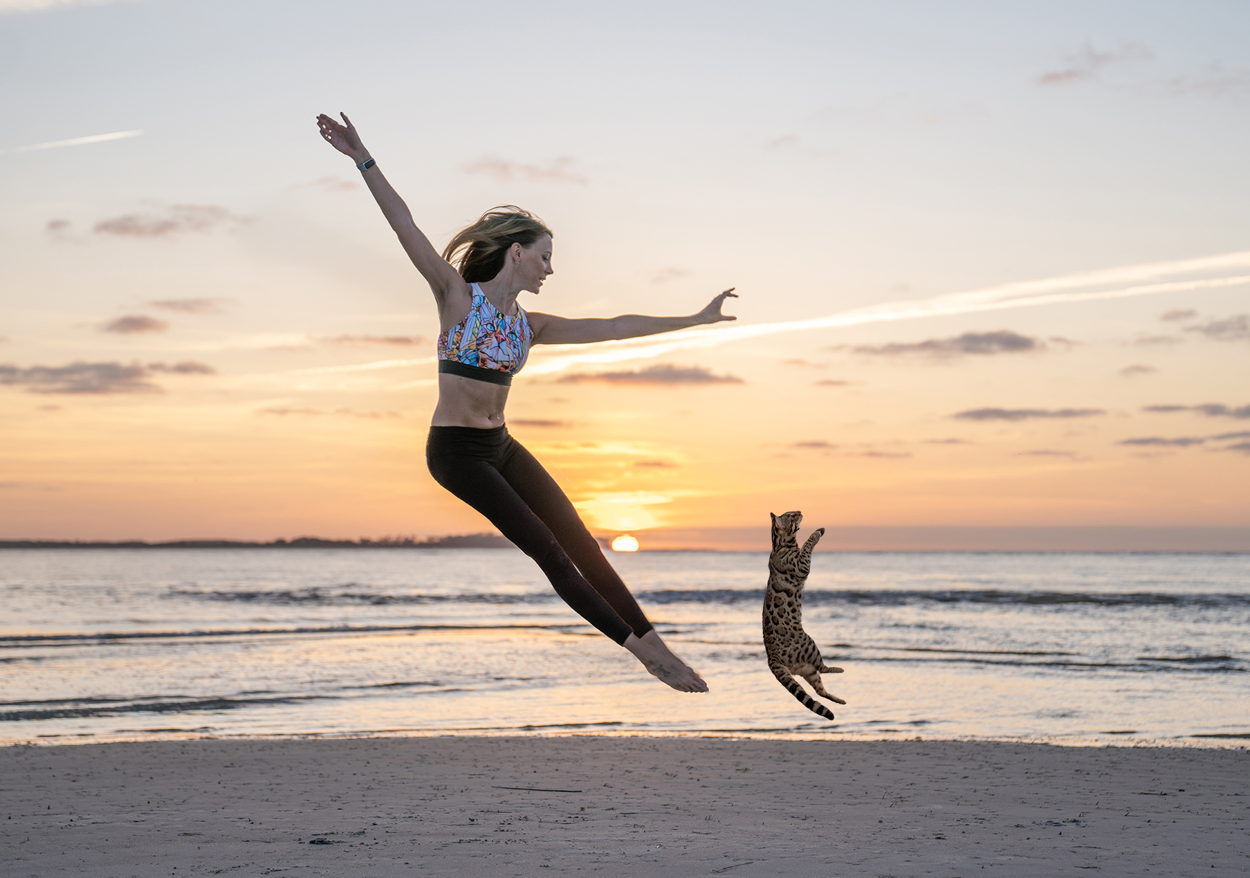 cat dancing on the beach